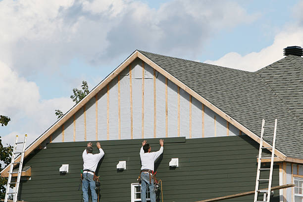 Best Shed Removal  in Daleville, IN